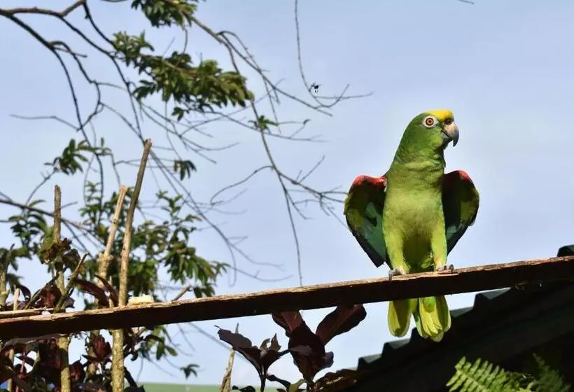 ホテル Finca Ecoturística Canaguaros
