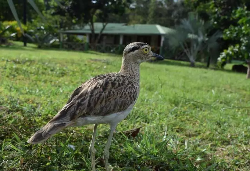 ホテル Finca Ecoturística Canaguaros