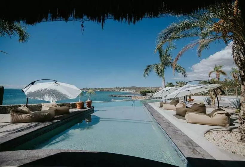 Hotelli Orchid House Baja