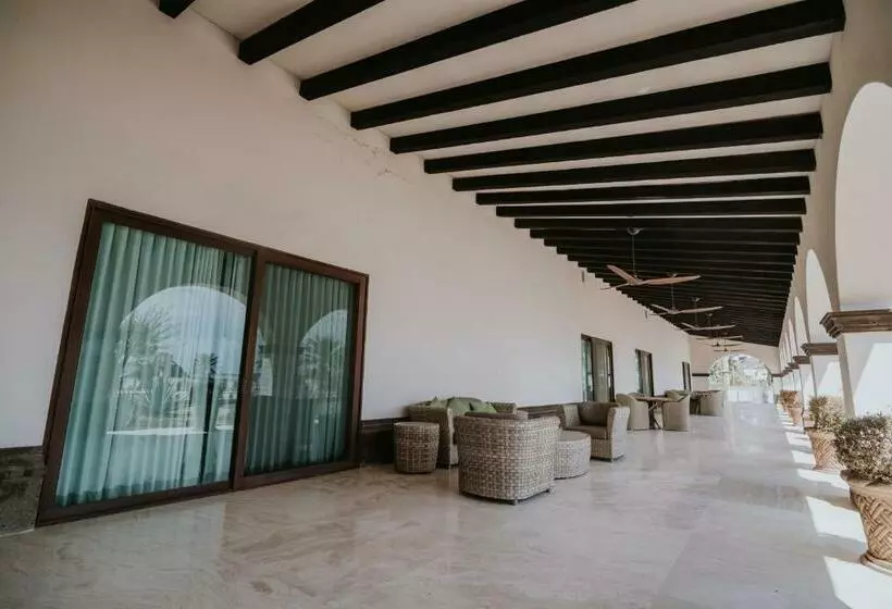 Hotelli Orchid House Baja