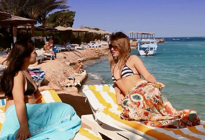 هتل Palm Inn City