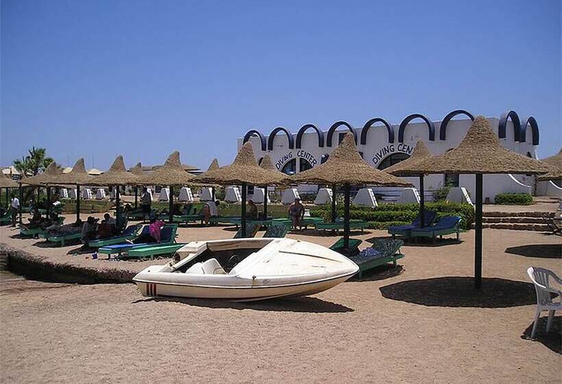 هتل Palm Inn City