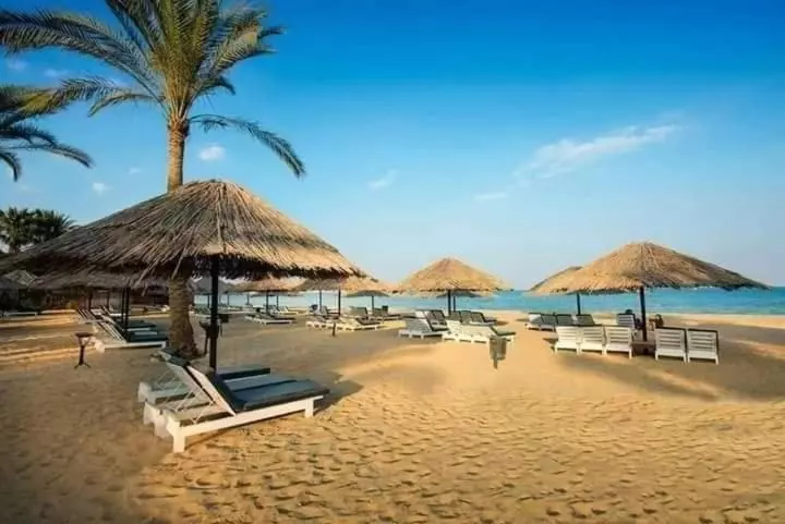 Palmera El Sokhna