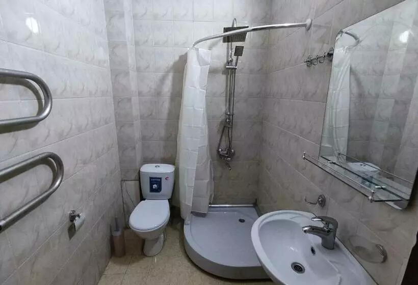 هتل Guesthouse White Swan