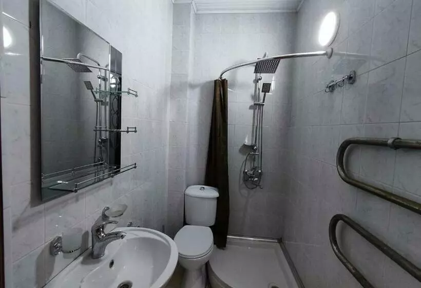 هتل Guesthouse White Swan