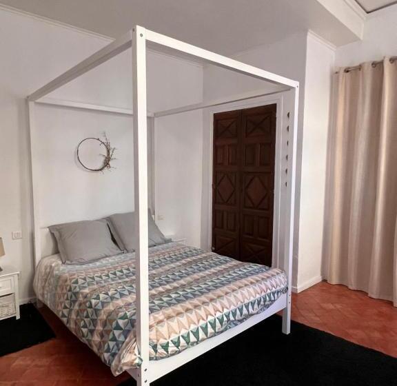 Perpignan Appartement En Plein Centre Historique