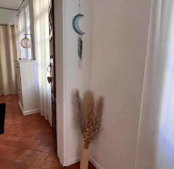 Perpignan Appartement En Plein Centre Historique