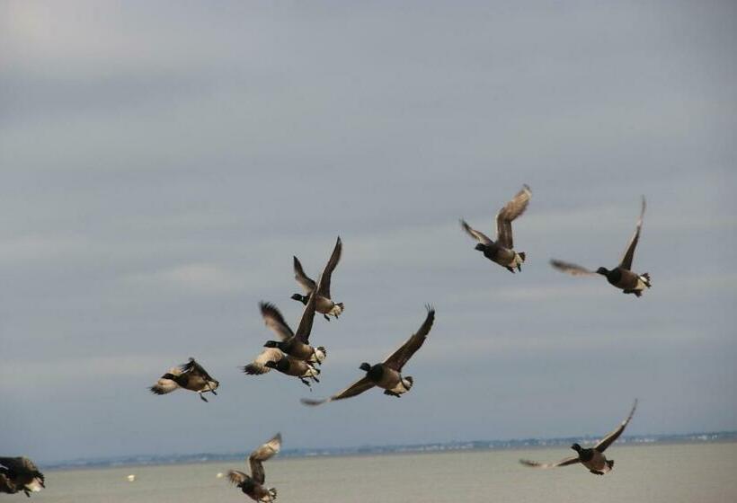 住宿加早餐 Laukiamas