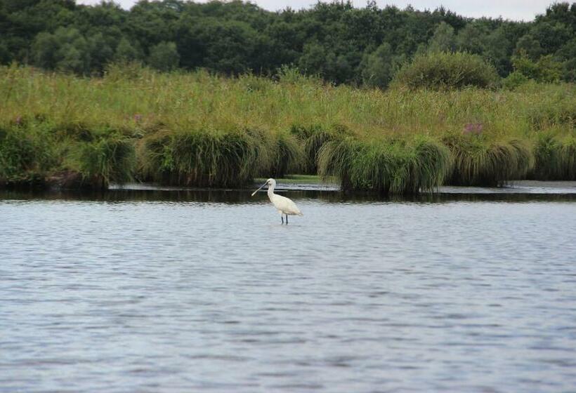 住宿加早餐 Laukiamas