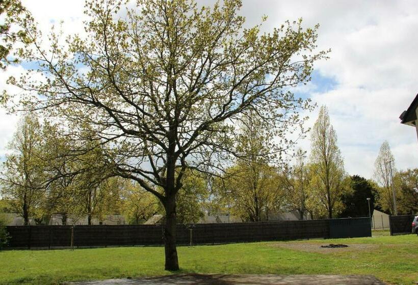 住宿加早餐 Laukiamas