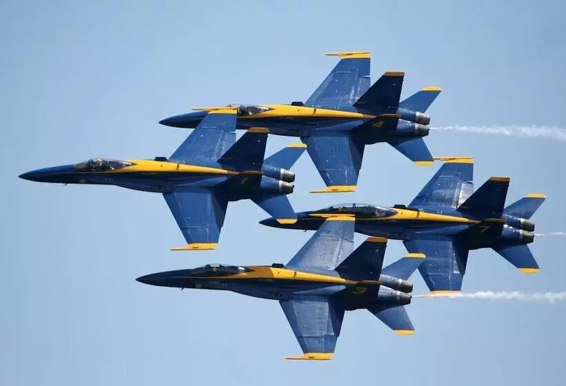 Lazy Urchin Seaclusion