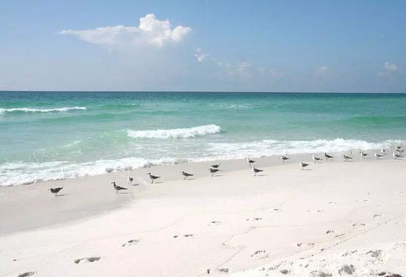 Lazy Urchin Seaclusion