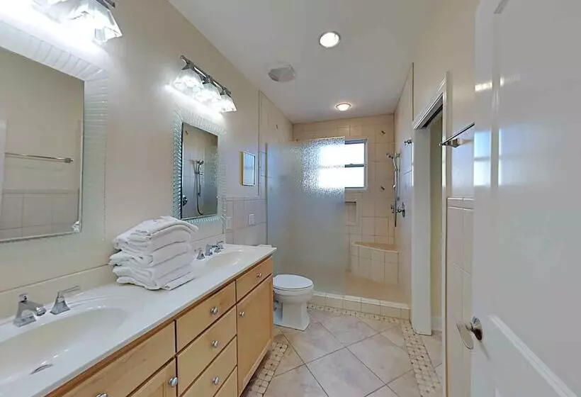 Lazy Urchin Seaclusion