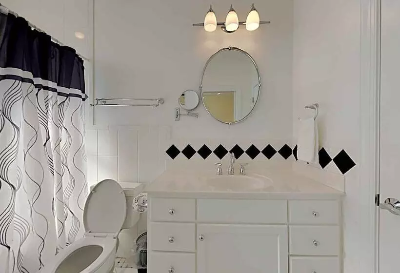 Lazy Urchin Seaclusion