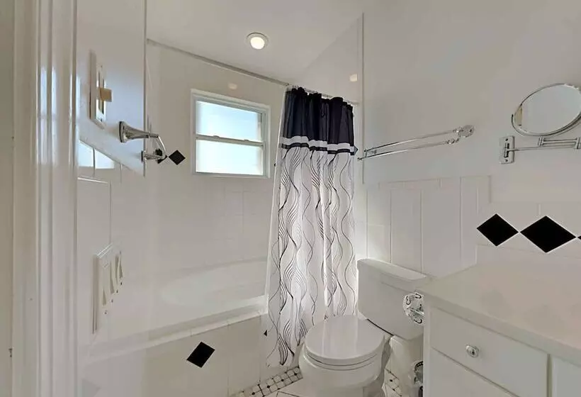 Lazy Urchin Seaclusion