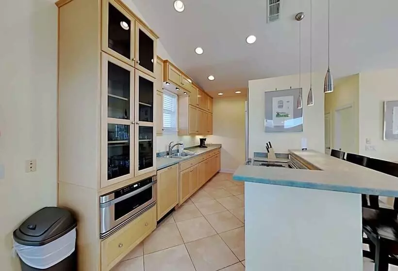 Lazy Urchin Seaclusion