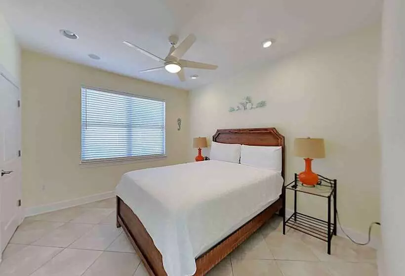 Lazy Urchin Seaclusion