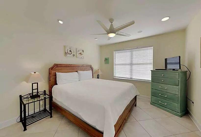 Lazy Urchin Seaclusion