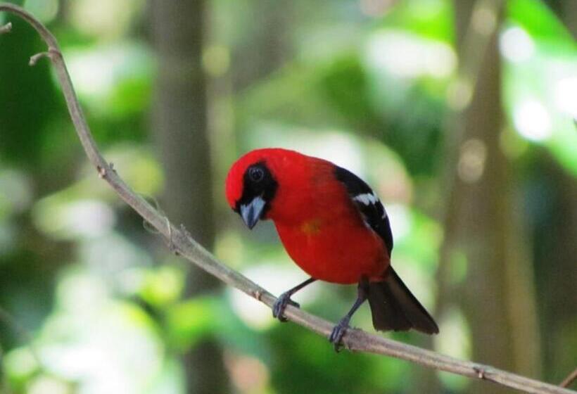 هاستل Finca Fuente De Vida