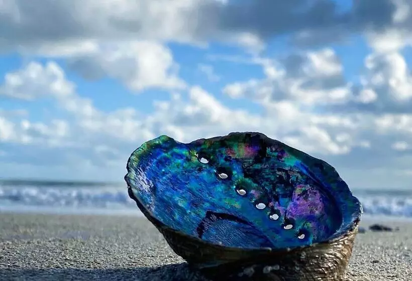 Mallacoota Hotel Motel