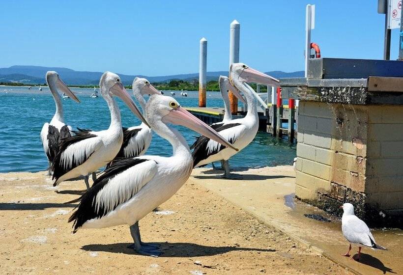 Mallacoota Hotel Motel