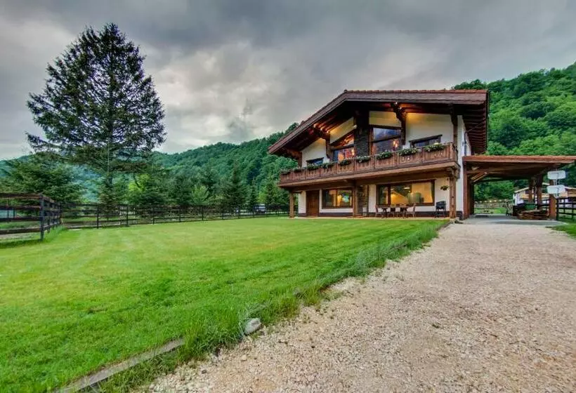 Majatalo Avalanche Plaiul Foii