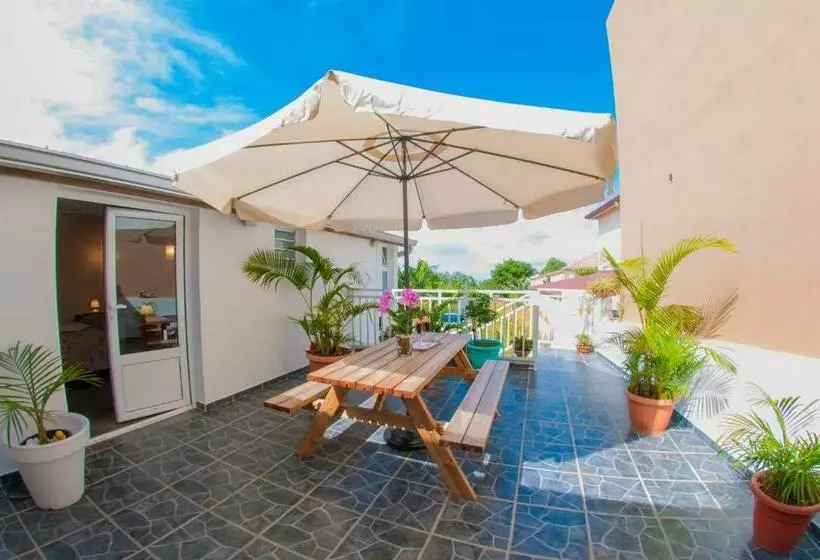 پانسیون Le Palmier De La Paix