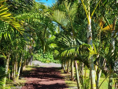 پانسیون Le Palmier De La Paix