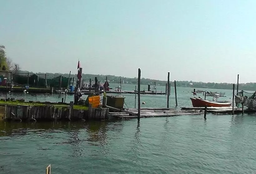 Domhotel Bed & Breakfast