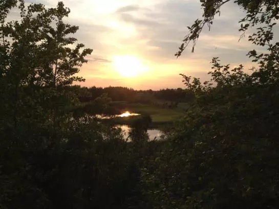 Hotelli Im Hofgarten Garni