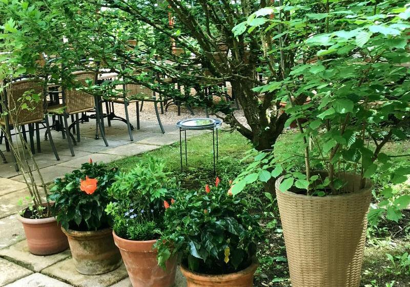 فندق Restaurant Bruchwiese