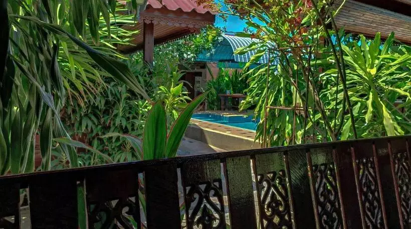 هاستل My Dream House Resort