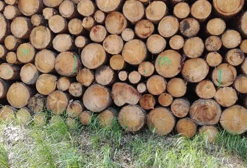 Klosterhotel Walkenried