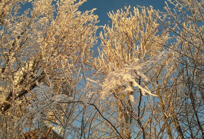 Klosterhotel Walkenried