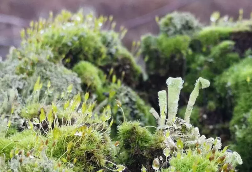 Klosterhotel Walkenried