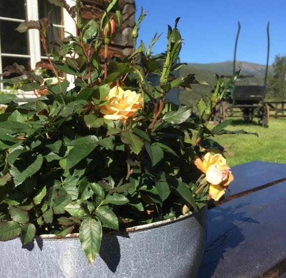 Отель Kvaale Gard