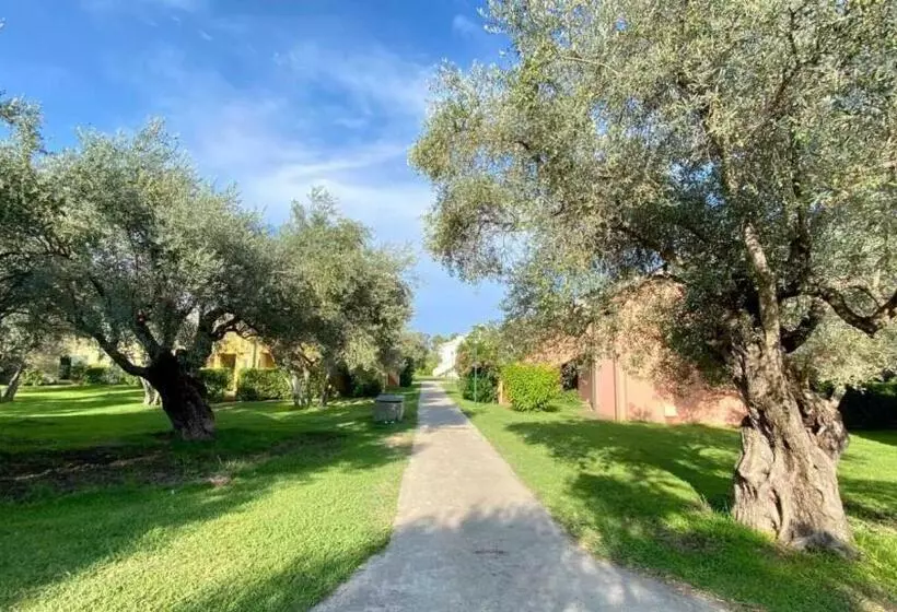Charme A 300 Mt Dal Mare   Calabria