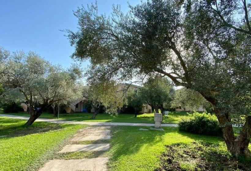 Charme A 300 Mt Dal Mare Calabria