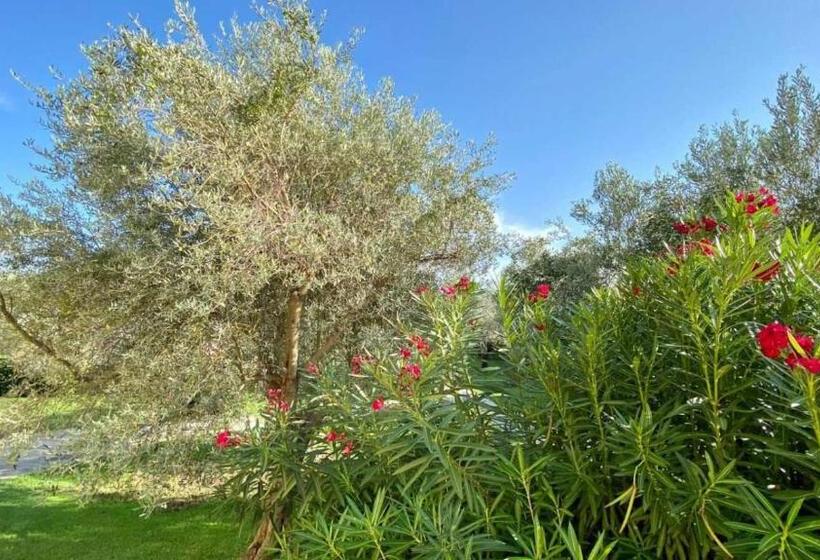 Charme A 300 Mt Dal Mare Calabria