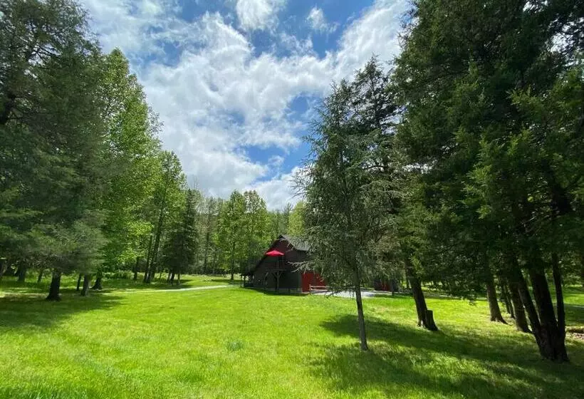ペンション Shadow Mountain Escape Cabin Rentals
