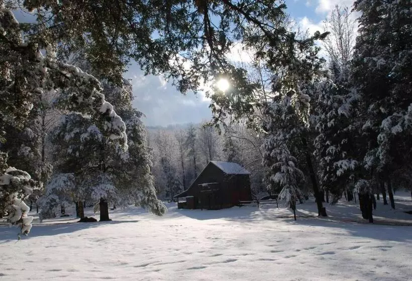 ペンション Shadow Mountain Escape Cabin Rentals
