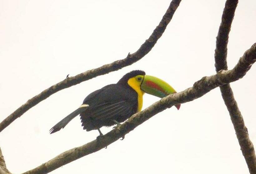 旅馆 La Marta Refugio De Vida Silvestre