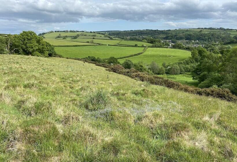 Bed and Breakfast Six On Castle