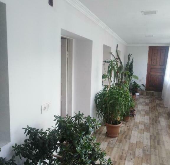 پانسیون Gorgo