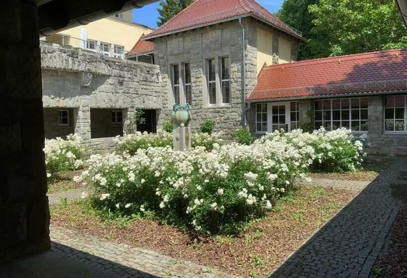 Das Kohnstamm