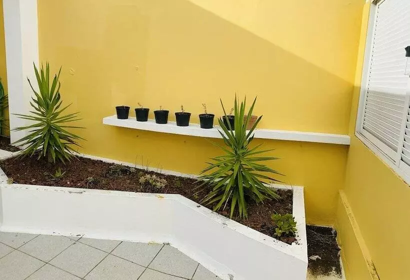 پانسیون Dmcharme