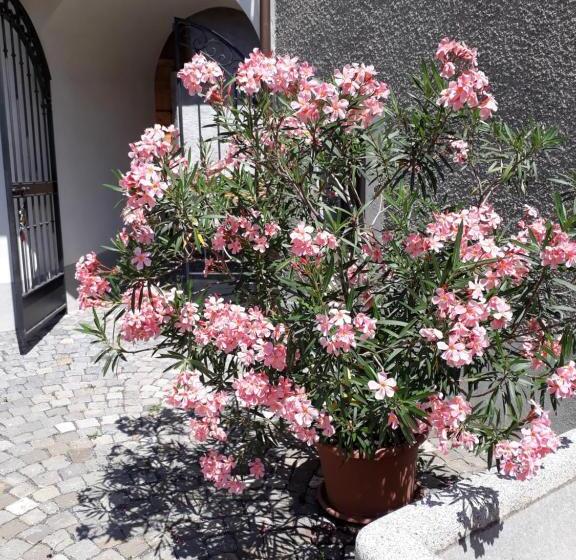 住宿加早餐  Aux Trois Soleils