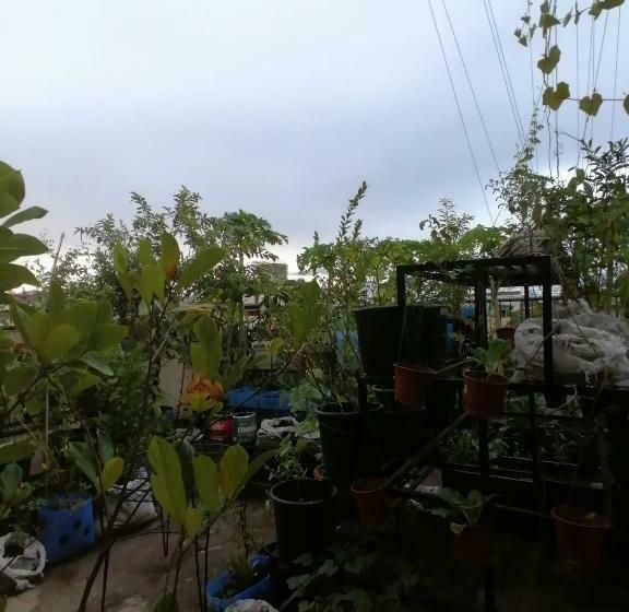 Bed and Breakfast Two Hearts Dormitory