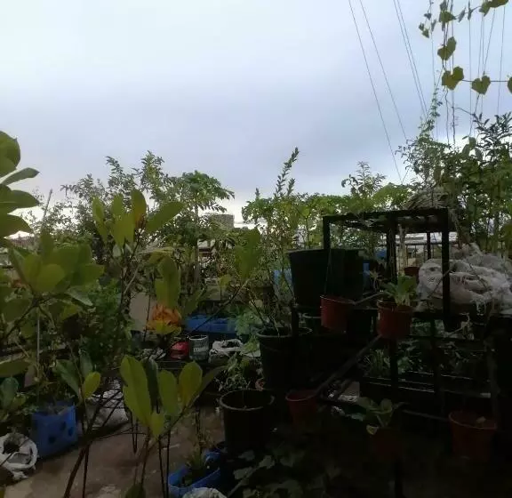 ベッドアンドブレックファースト Two Hearts Dormitory