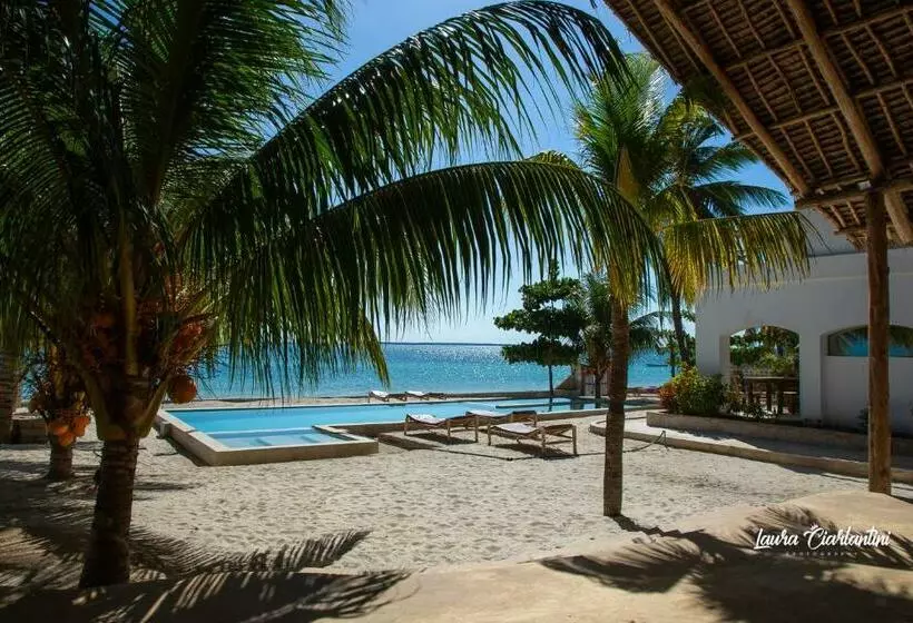 Uroa Zanzibar Vera Beach Hotel By Moonshine